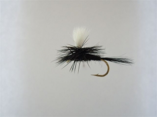 Size 14 Black Gnat Parachute